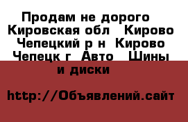 Продам не дорого - Кировская обл., Кирово-Чепецкий р-н, Кирово-Чепецк г. Авто » Шины и диски   